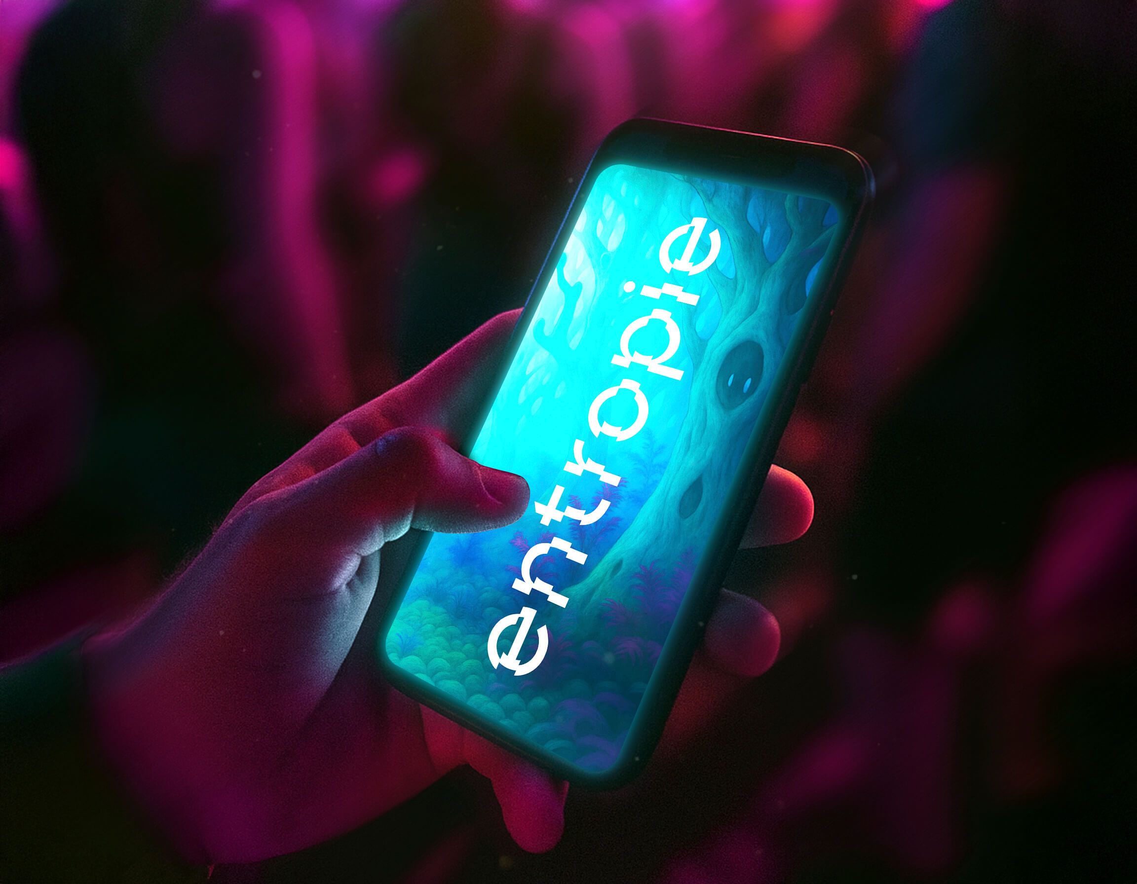 Festival App: entropie